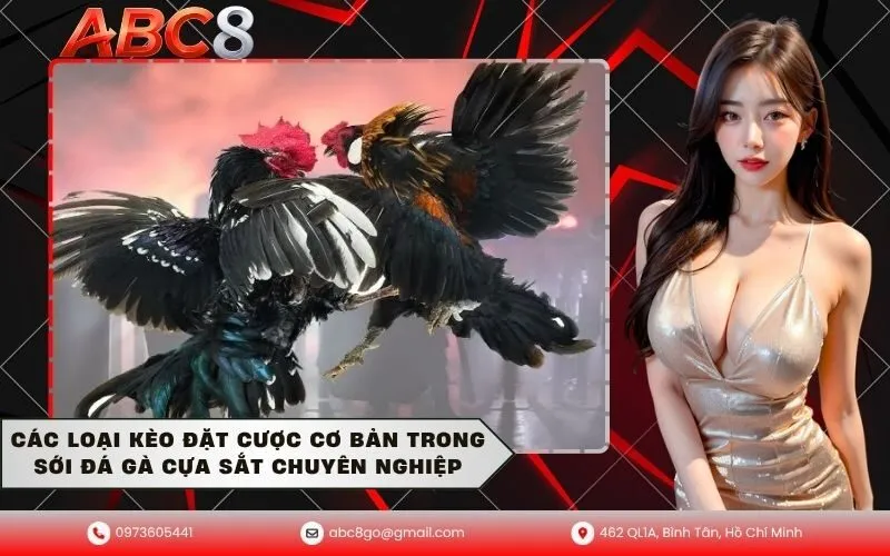 Các loại kèo đặt cược cơ bản trong sới đá gà cựa sắt chuyên nghiệp