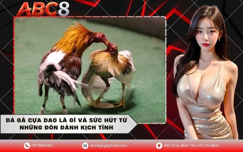 Đá gà cựa dao là gì và sức hút từ những đòn đánh kịch tính