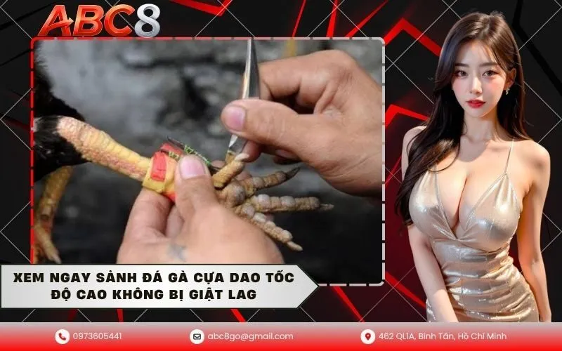 Đá Gà Cựa Dao