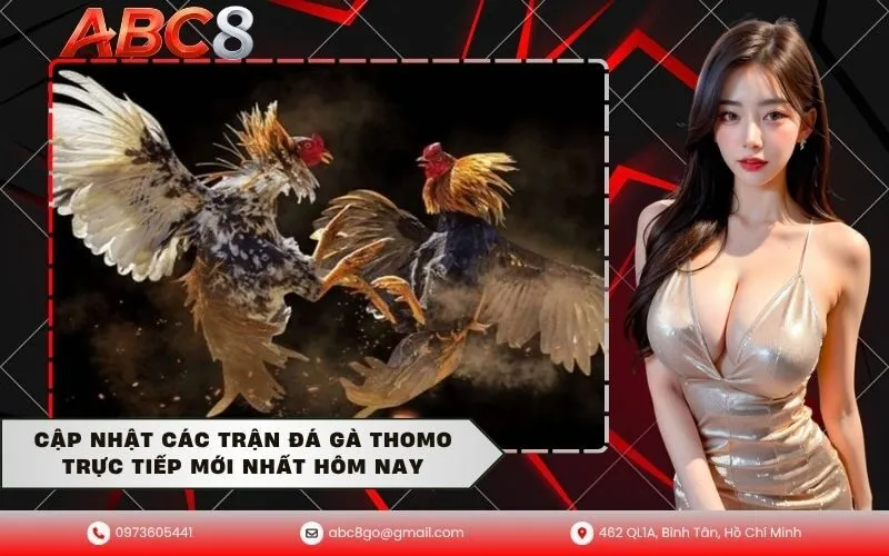 Đá Gà Thomo