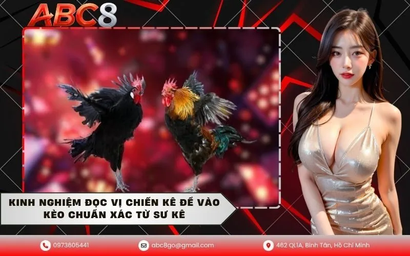 Kinh nghiệm đọc vị chiến kê để vào kèo chuẩn xác từ sư kê