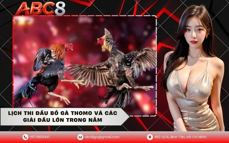 Lịch Thi Đấu Bồ Gà Thomo Và Các Giải Đấu Lớn Trong Năm