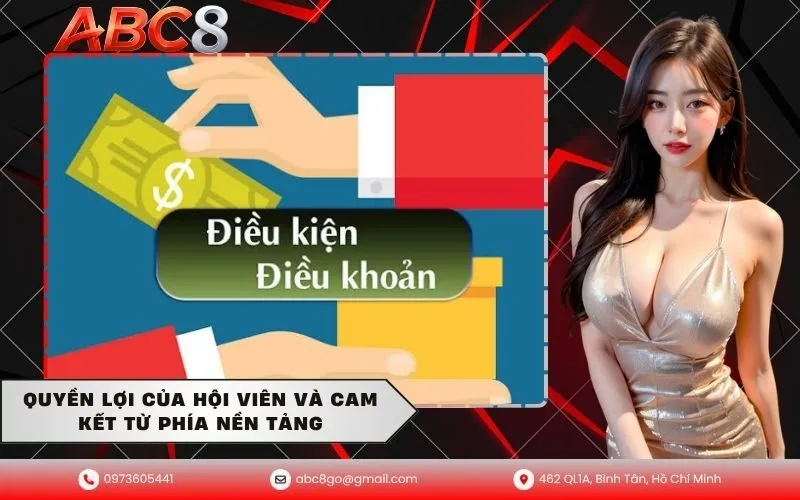 Quyền Lợi Của Hội Viên Và Cam Kết Từ Phía Nền Tảng