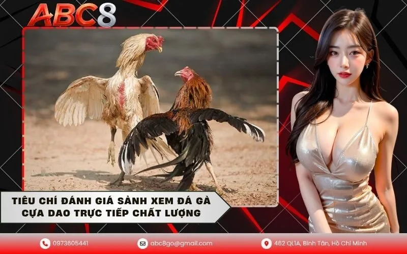 Tiêu chí đánh giá sảnh xem đá gà cựa dao trực tiếp chất lượng
