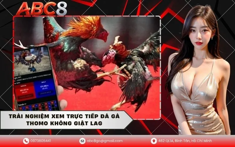 Trải Nghiệm Xem Trực Tiếp Đá Gà Thomo Không Giật Lag